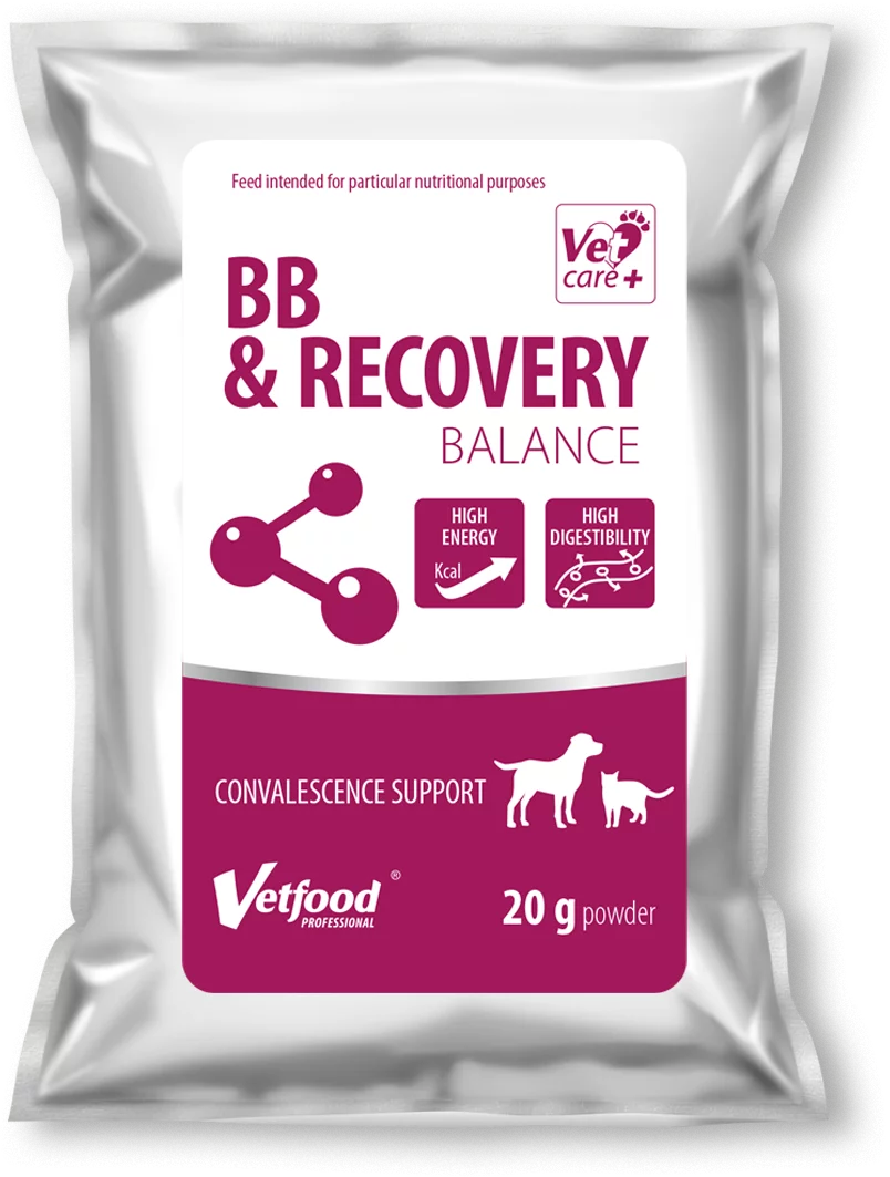 BB & Recovery Balance