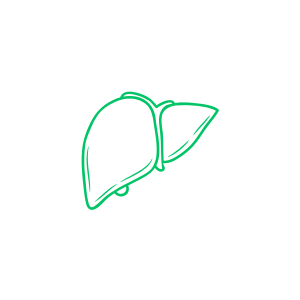 Pečeň a detoxikácia