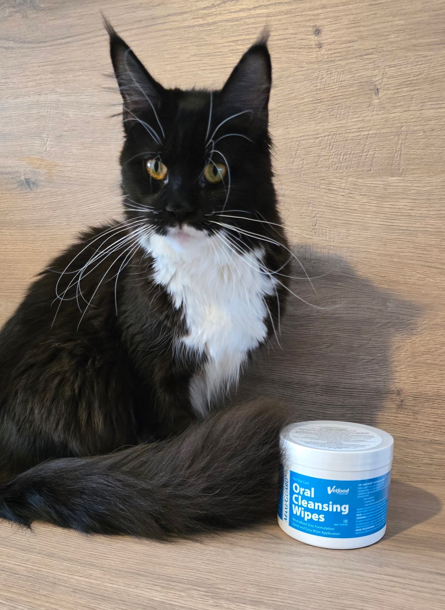 MAXI/GUARD  Oral Cleansing Wipes 100 ks