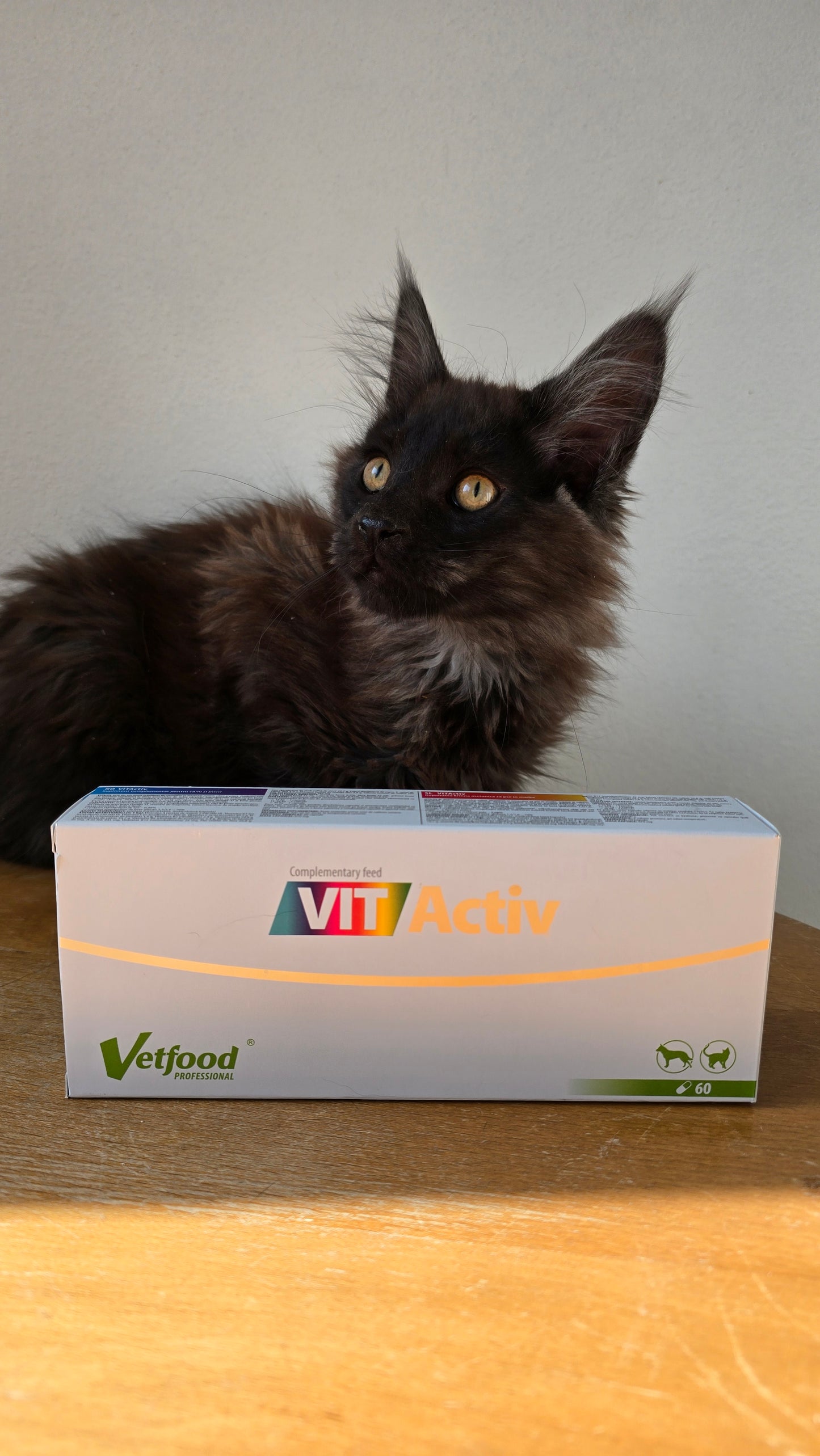 VITActiv 60 kaps.
