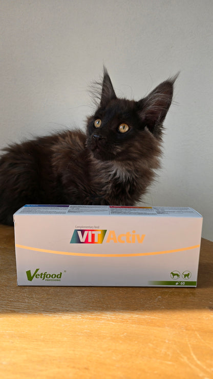 VITActiv 60 kaps.