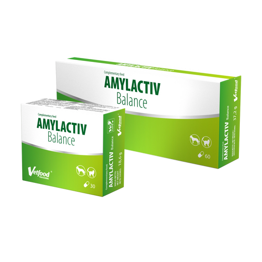 Amylactiv Balance
